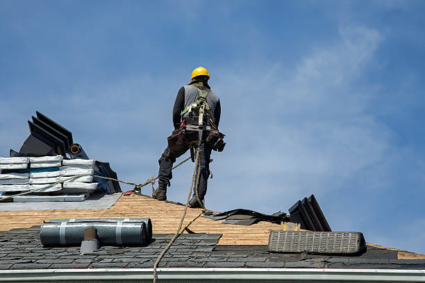 Professional Roof Replacement technician working in Magnolia, NC